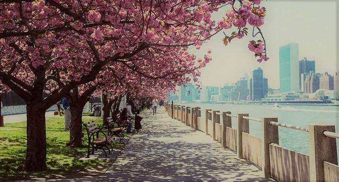 Spring in NYC