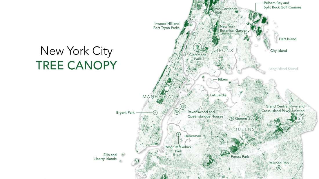 This Map Shows All The Trees In New York City Hello, Big Apple