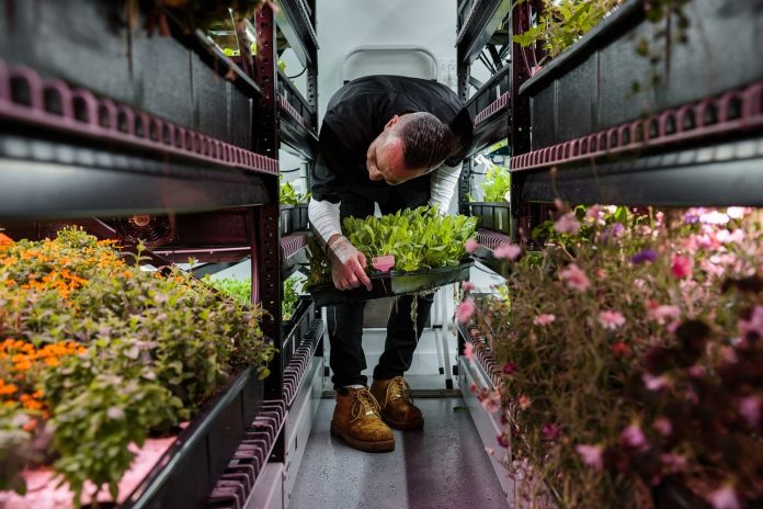 11 Alternative Education Destinations in New York City By Anna Ben Yehuda Rahmanan