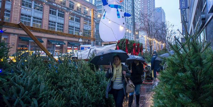 Christmas Trees Are Going for as Much as $6,500 in New York City in 2019