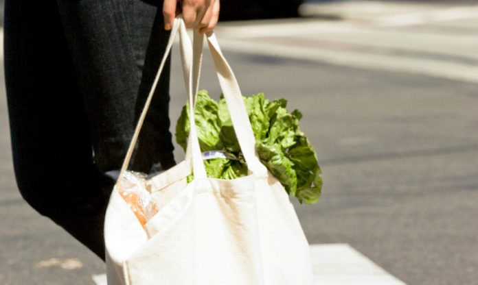 BYO-Bag: Where to Find Free Reusable Bags Before NY Bans Single-Use Plastic Bags
