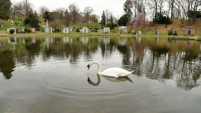 Where I find outdoor calm and solitude in New York City