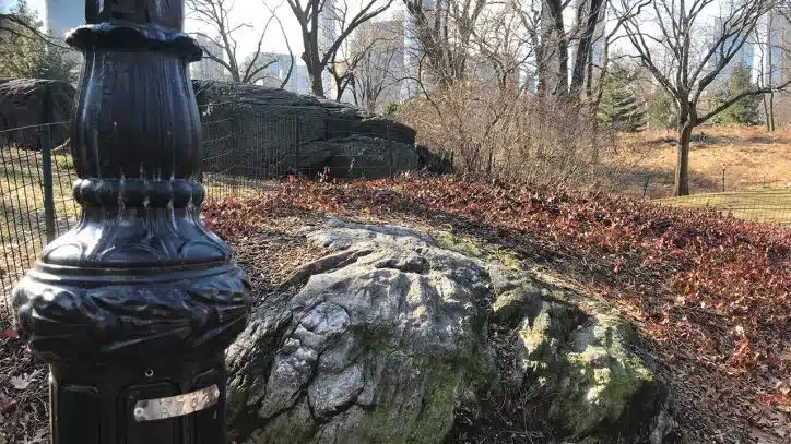 Simple hacks for navigating New York City like a local 2