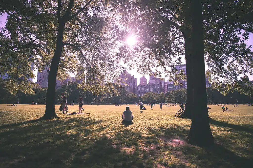 'Summer in the City', United States, New York, New York City, Central Park, Sheeps Meadow