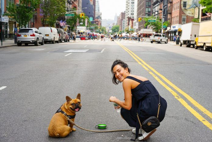 a woman in blue dress and her brown pug