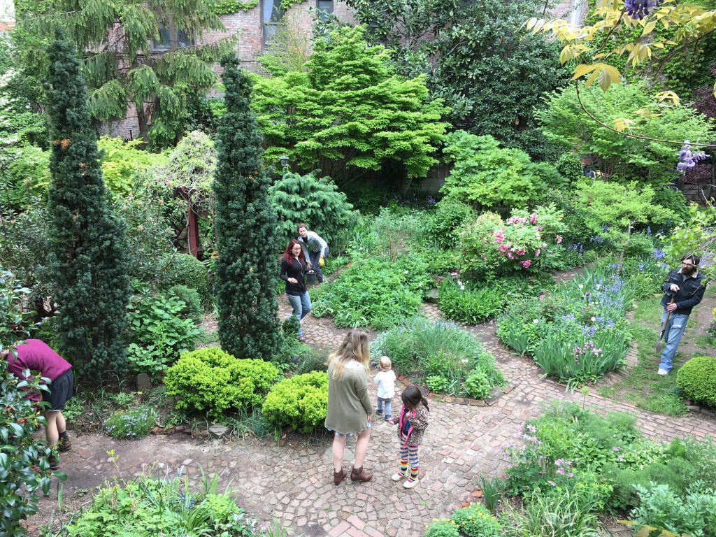 Discover 6BC Botanical Garden: A Hidden Green Oasis in the East Village 1 Discover 6BC Botanical Garden: A Hidden Green Oasis in the East Village